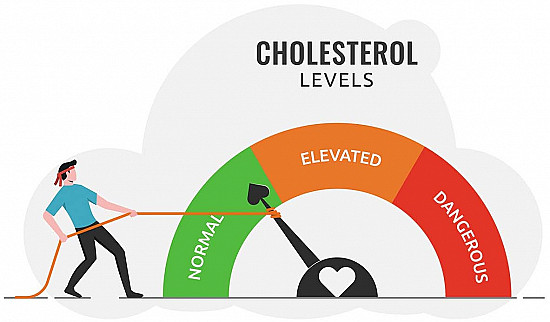 What You Need to Know About Cholesterol: Keeping Your Heart Healthy